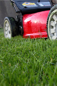 For professional, reliable Bellingham, Wa yard care & lawn mowing - Call GreenThumb 671-5296!