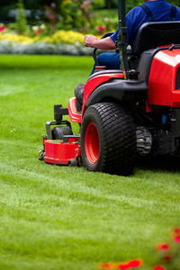 For professional, reliable Bellingham, Wa yard care & lawn mowing - Call GreenThumb 671-5296!