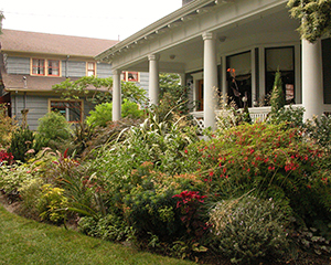 Bellingham Landscape Maintenance for Commercial and Residential accounts